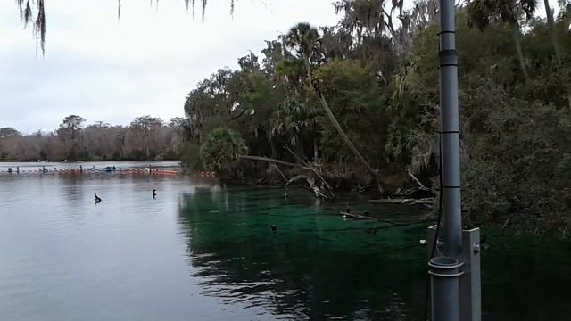 Женя Гейн в предвкушении свадьбы. Ура! Опять невеста. смотреть онлайн