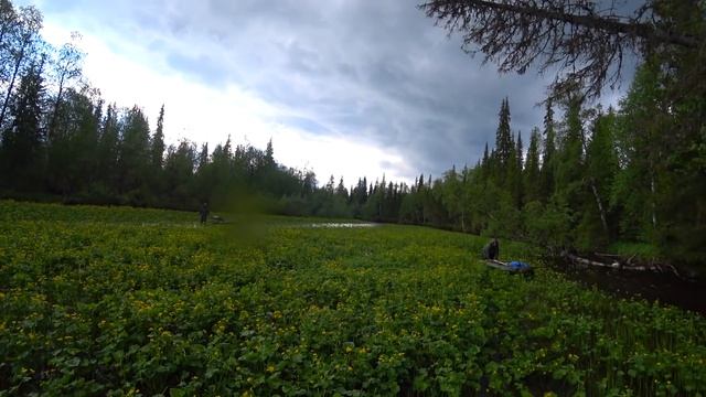 Сплав по таёжной речке. Рыбалка на хариуса. Таёжное блюдо от КУМА. Тайга. смотреть онлайн
