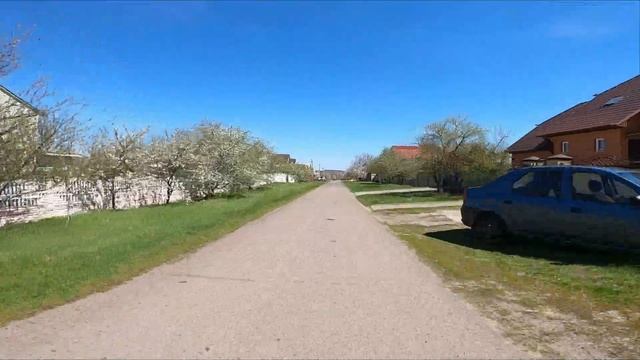 Морсик смотреть онлайн