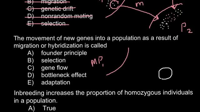 What is the ultimate source of genetic variability смотреть онлайн