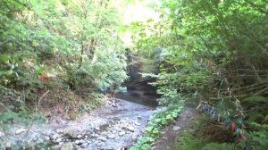 Ведьмино ущелье в Лоо (Сочи) в 2020 году || Самостоятельная экскурсия || Шабаш ведьм || Страшно жут