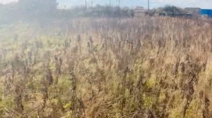 Сахалинская область, село Дальнее , улица Янтарная #этажи #этажисахалин