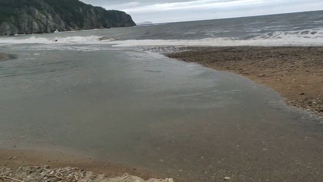 Рязановка, Хасанский район, Приморский край, август 2023 смотреть онлайн