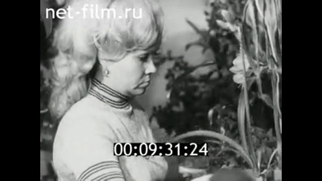1980г. Усинск. домашний ботанический сад Ахмедовых. Коми смотреть онлайн