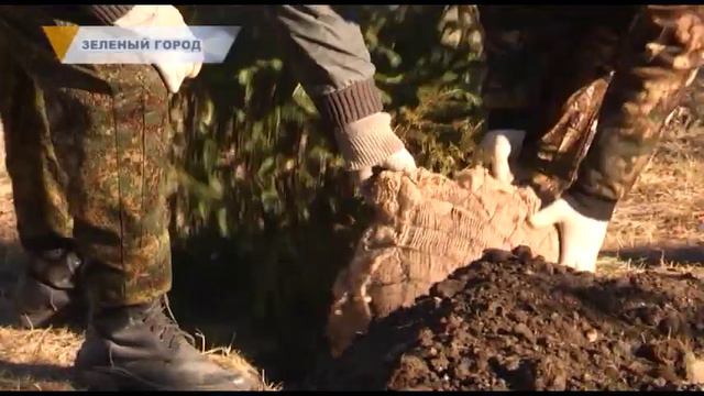 ЗЕЛЕНЫЙ ГОРОД смотреть онлайн