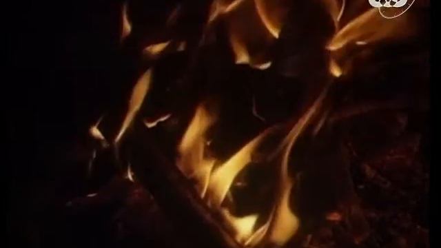 Археология. В поисках неандертальцев / The Search for Neanderthal смотреть онлайн