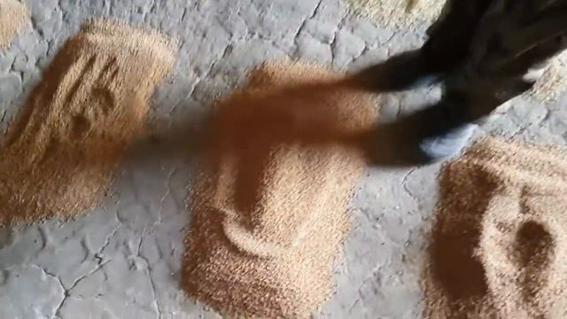 Село Шаитик, Новосибирская область, Купинский район