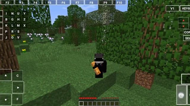 pojav server 1.12.2 crack tanpa akun premium смотреть онлайн