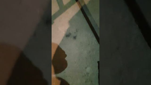 OVERMAN работает. Тележка. Навес. Финальные штрихи. смотреть онлайн