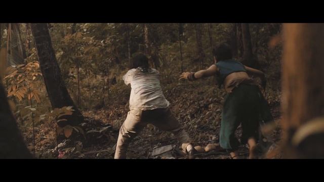 Peter Luis Forest Friends (2019) Camera Operator