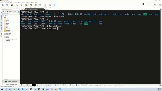 LIVE TRAINING TEST смотреть онлайн