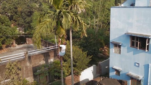 Coconut man techniques смотреть онлайн