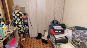 Золушки ищут туфельки ??_обновки с Wildberries ???_книга по кулинарии ?