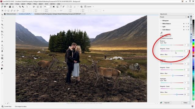 Learn How to Make Quick Photo Edits with the Adjustments Docker in Corel PHOTO-PAINT | Windows смотреть онлайн