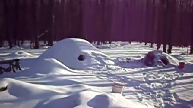 Cold days at Mirthwood смотреть онлайн