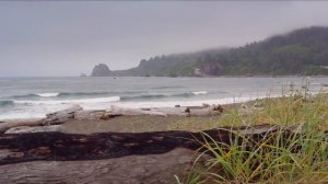 ЧТО ОТ НАС СКРЫВАЛИ 100 ЛЕТ