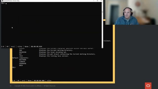 Oracle SQLcl: Celebrating 5 years of a modern Oracle Database command line experience смотреть онлайн