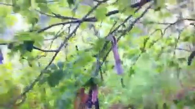 Святыня в горах(женская) смотреть онлайн