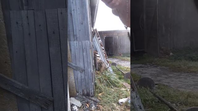 То идёт с Богом только сильный духом человек смотреть онлайн