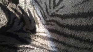 Честный обзор Форда транзита 1998 года выпуска. Год эксплуатации. 70000 километров за год.