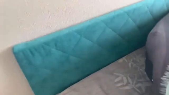 Видеоотзыв о кровати Moon Trade Family 1221 смотреть онлайн