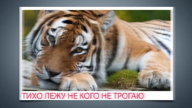 Дыхание тигра. смотреть онлайн