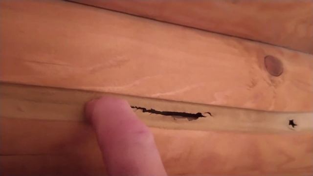 Чем ЗАДЕЛАТЬ Трещины На БРЁВНАХ Срубового ДОМА смотреть онлайн