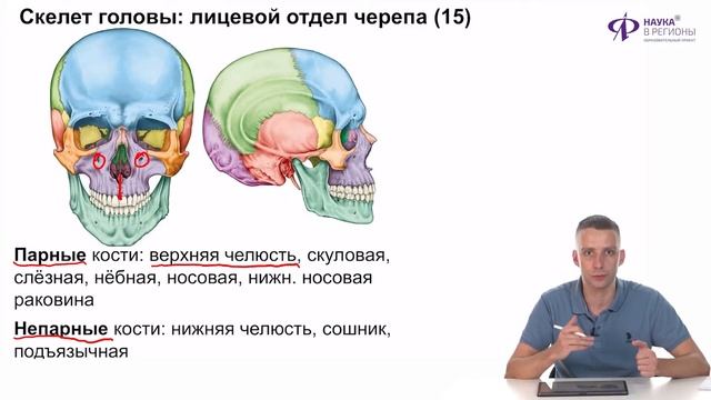 Биология | Осевой скелет и скелет конечностей смотреть онлайн