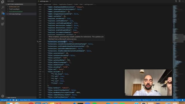 VS Code Setting: extensions.autoUpdate смотреть онлайн