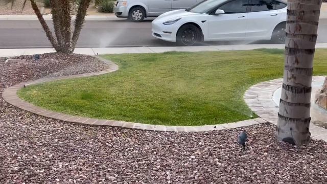 DIY- How To Manually Run An Orbit Sprinkler Timer смотреть онлайн