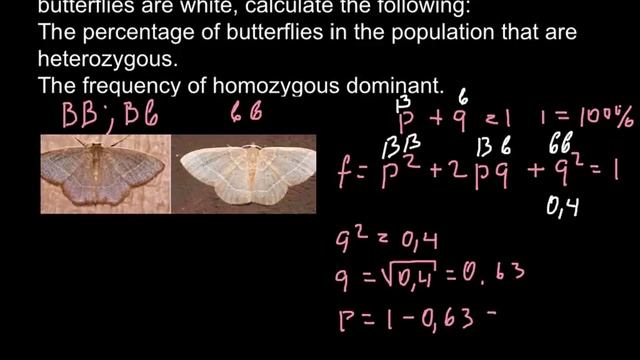 Application Of Hardy-Weinberg Equation For Butterfly Population