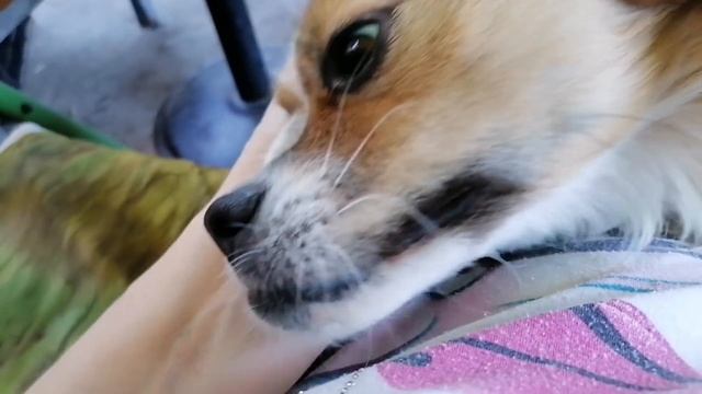 Бобка+Мамасика=любофф:) смотреть онлайн