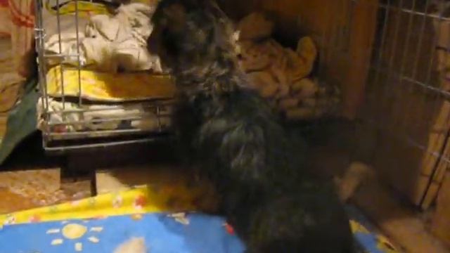 Додик, Фаина, экспрессия смотреть онлайн