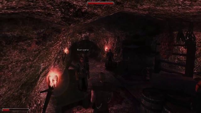 Let's Play Gothic 2 Kryjówka Korsarzy Dx11+Reshade #4 Polowanko na Aligatory i piraci terminatory смотреть онлайн