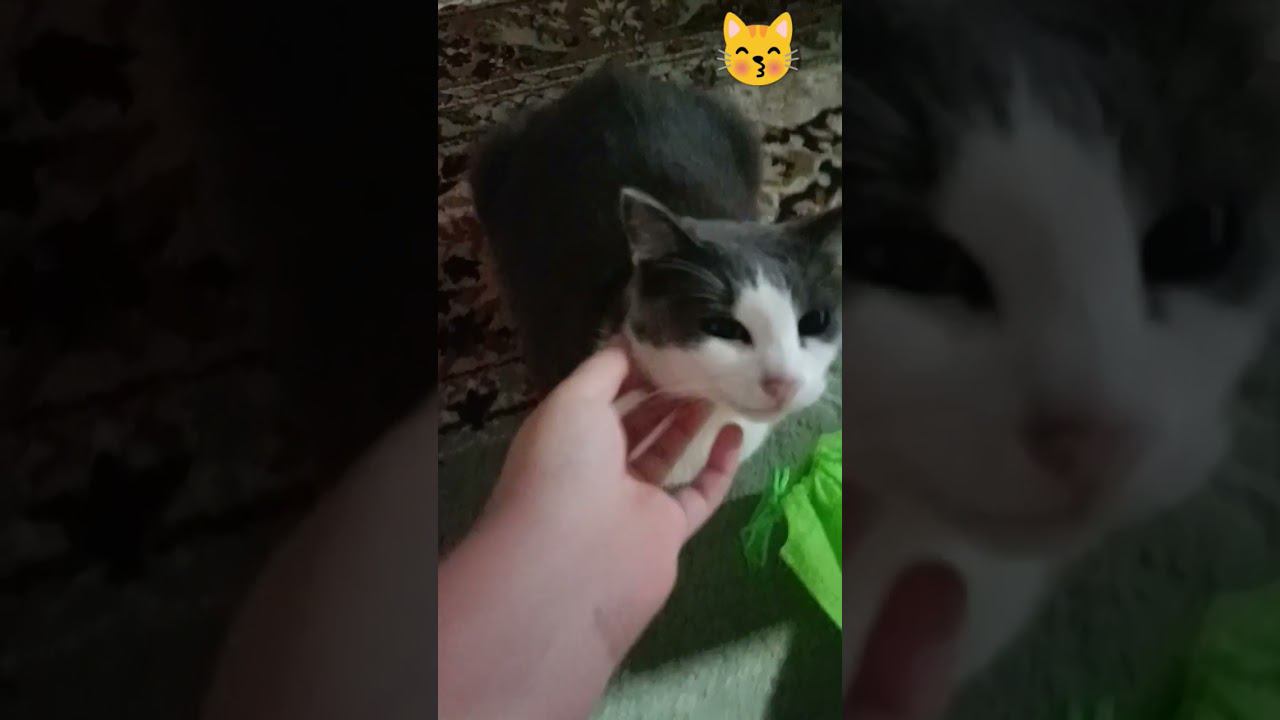 30 сентября 2023 г. смотреть онлайн