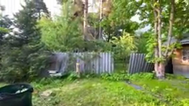 ДЕНЬ КОРГИ! что один ест, другой отказывается 😂 Пилим деревья на участвке 🌳 новый телевизор | VLOG смотреть онлайн