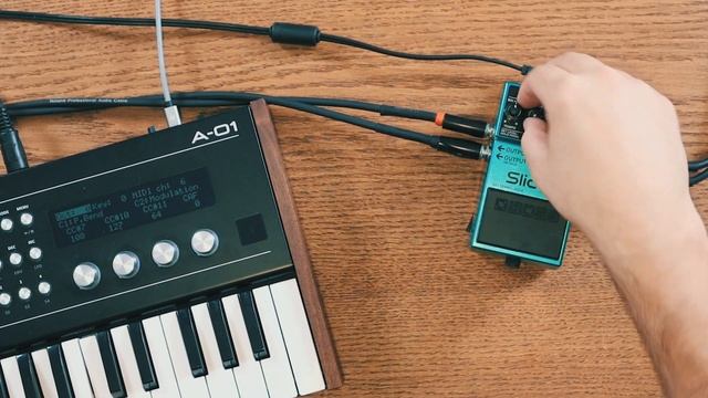 BOSS SL-2 Slicer Audio Pattern Processor [Product Demonstration] смотреть онлайн