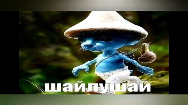 Шайлушай? смотреть онлайн