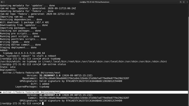 What is Container Operating System: Immutable, Auto-Updating, Security Minded Fedora CoreOS Intro смотреть онлайн
