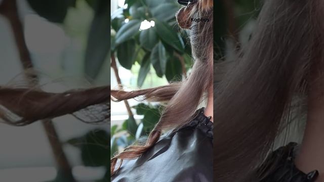 Хвост с легкими локонами - модная прическа для особого случая смотреть онлайн