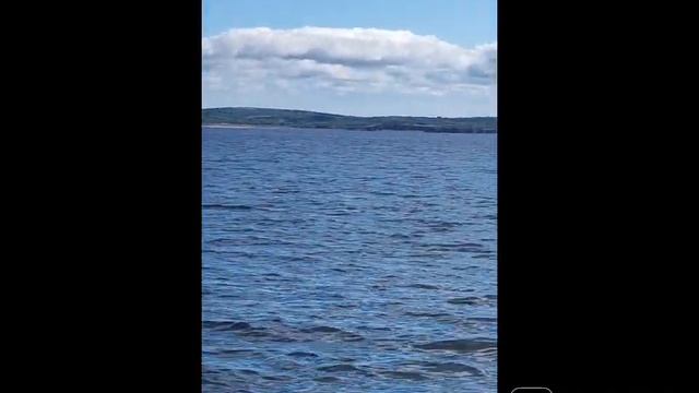 SV Feeling Groovy 2022 summer cruise смотреть онлайн