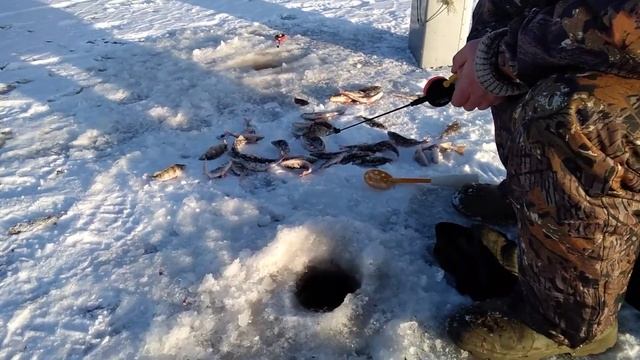Зимняя рыбалка 2020 Рыбинка Городище смотреть онлайн