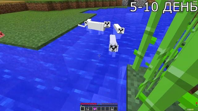 I lived 10 days for a WHITE CARTOON CAT in Minecraft! SCP WHITE CARTOON IN MINECRAFT || Fun Fact Hu смотреть онлайн