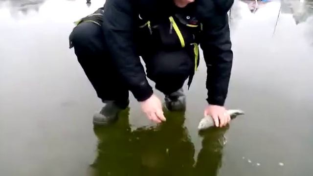 Как в анекдоте про Полицейских . смотреть онлайн