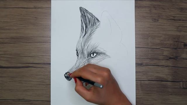 How to Draw a Fox Head Step by Step | Realistic Pencil Drawing смотреть онлайн