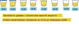 Анализ мочи по Нечипоренко и Зимницкому в норме и при патологии - meduniver.com