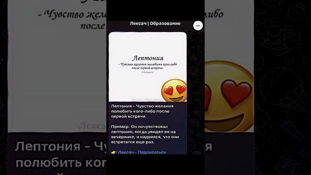 Что такое Лептония? БОЛЬШЕ СЛОВ В ТГ @lekksach
