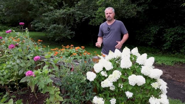 The Garden's Gone Wild смотреть онлайн