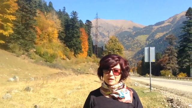 #КакСниматьЖИВОЕвидео | Как снимать природу | Как снимать пейзаж смотреть онлайн