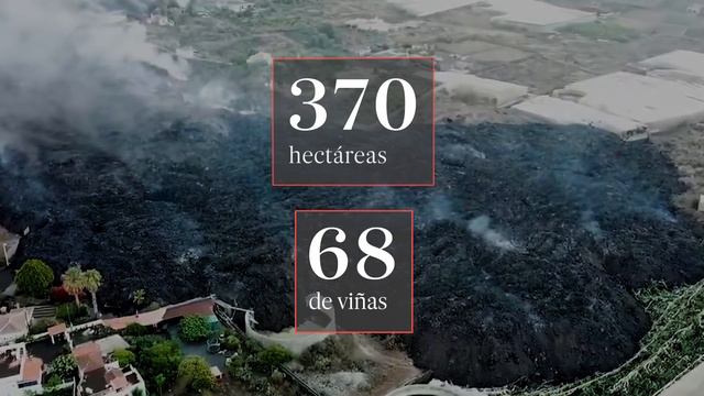 Así ha cambiado LA PALMA tras tres meses de ERUPCIÓN | EL PAÍS смотреть онлайн